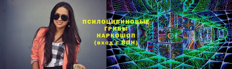 Галлюциногенные грибы мухоморы  Великие Луки 